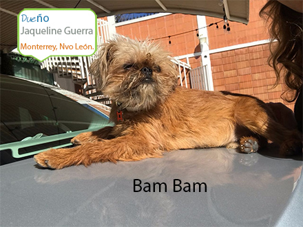 Bambam