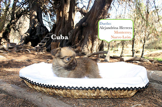 Cuba