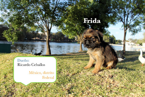 Frida