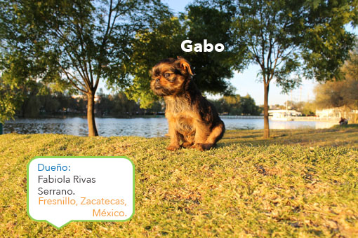 Gabo