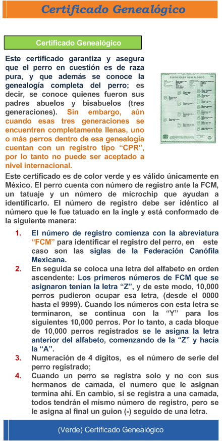 Certificado Genealogico