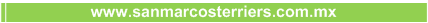Venta de cahorros con pedigr�