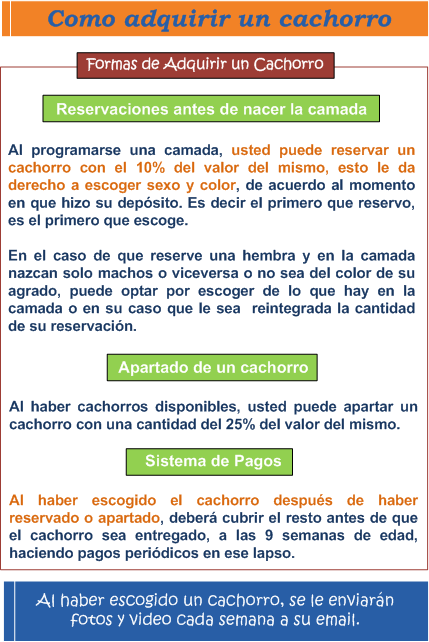 Formas de adquirir un cahorro