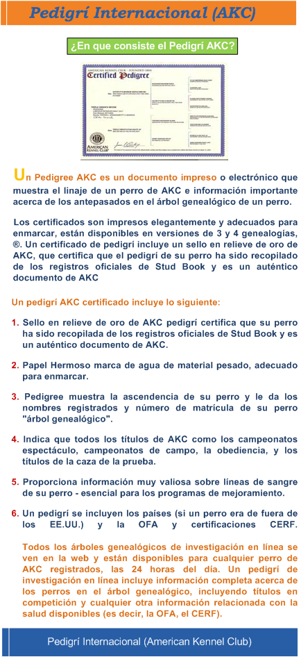 Informacion de un pedigri American Kennel Club (AKC)