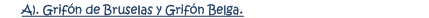 Grif�n